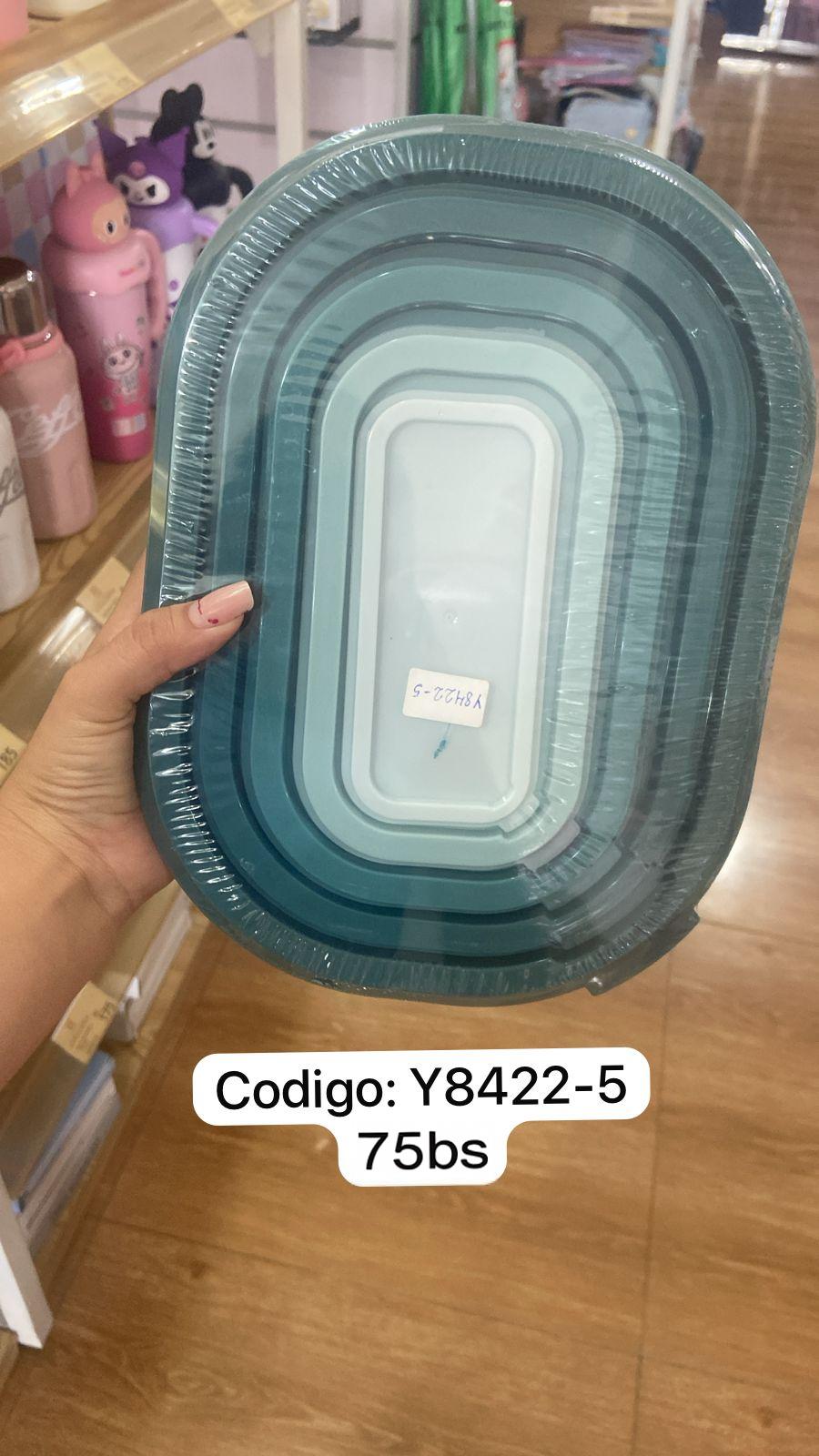 Comida preparada-Y8422-5